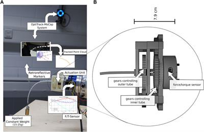 Real-Time Shape Estimation for Concentric Tube Continuum Robots with a Single Force/Torque Sensor